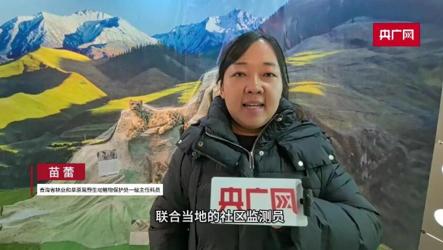 小S社交平台上传肖邦离别曲,澳门今天管家婆,确保成语解释落实的问题_完整版V13.32