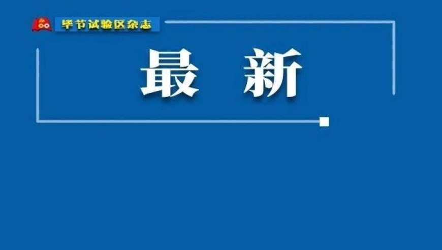 王中王免费资料大全料大全一,行程万里 文韵悠长,机构预测与落实方法揭秘_VR版V4.60