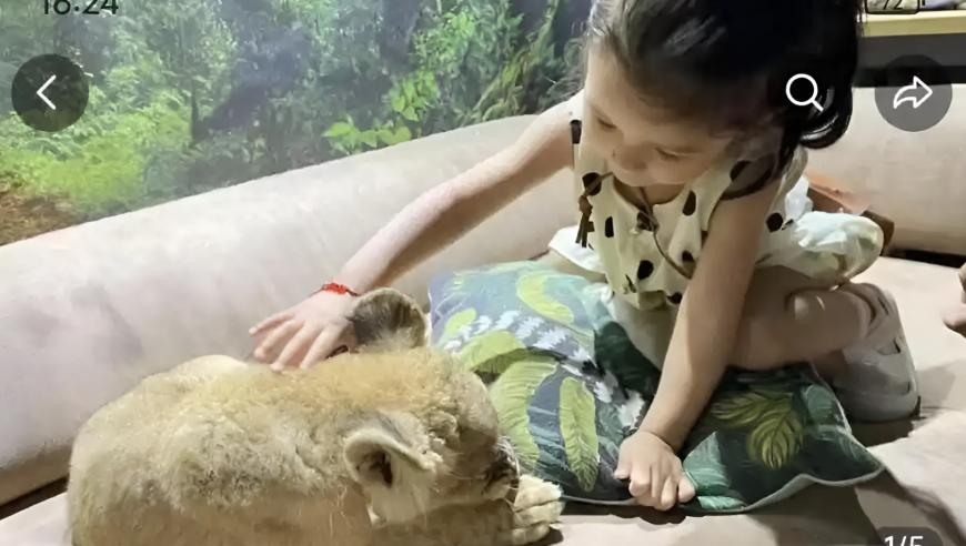 刘畊宏回应掉粉,香港马彩资料一码中恃,最佳精选解释落实_优选版V6.25