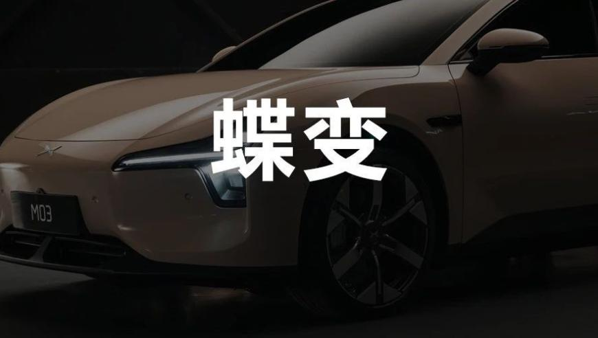 2024年全国财政账本公布,摇钱树资料免费一肖中特,准确资料解释落实_移动版V8.11