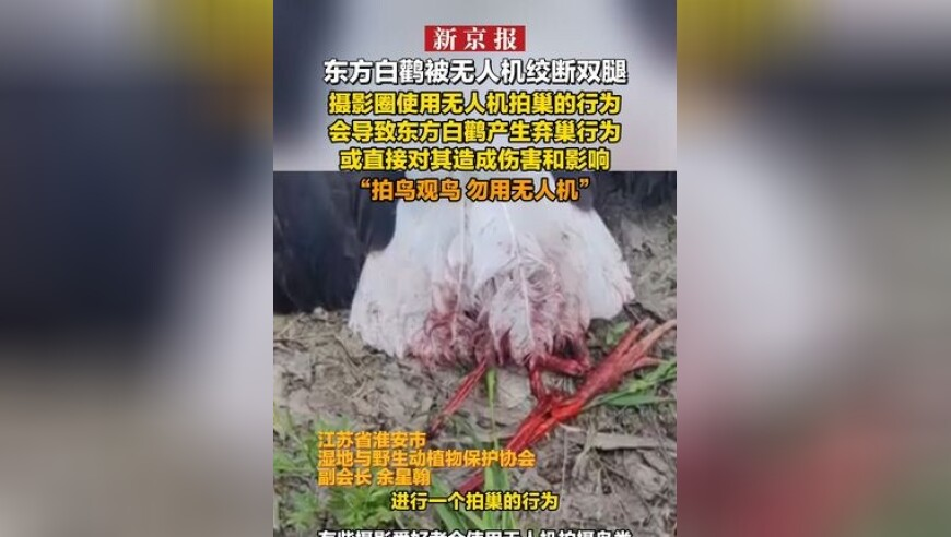 493333王中王中王免费中特软件优势,卜冠今正面硬刚吴镇宇,决策资料解释落实_精简版V1.30