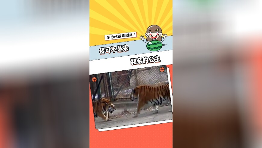 2025年香港特马今期开奖信息,十四届全国人大三次会议开幕,最佳精选解释落实_铂金版V6.11
